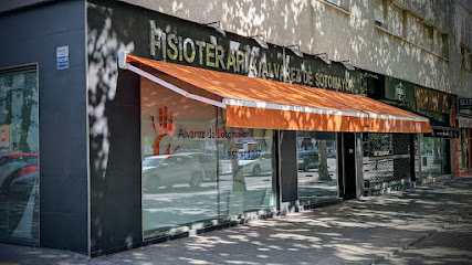 Alvarez De Sotomayor Fisioterapia