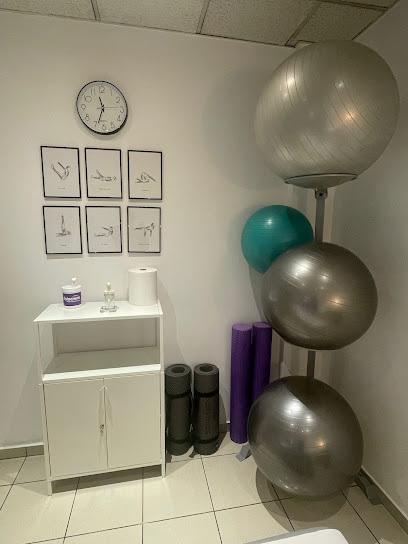 Anfis Fisioterapia