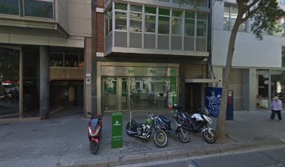 Bcx