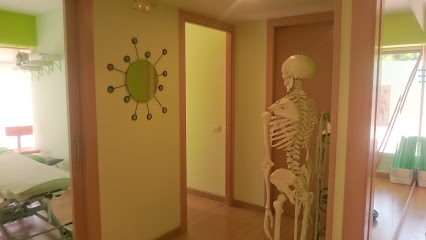 Centre De Fisioterapia I Osteopatia Corpore Sano