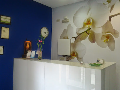 Centro De Fisioterapia Andrea Vila