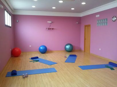 Centro De Fisioterapia Elena Vallejo