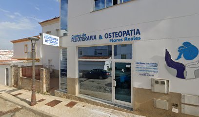 Centro De Fisioterapia Fco. Javier Flores Reales
