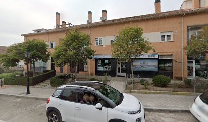 Centro De Fisioterapia Javier Molina.