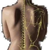 Centro De Fisioterapia Lumen: Terapia Manual Avanzada