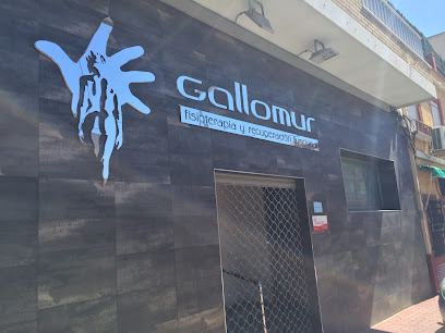 Clinica Gallomur