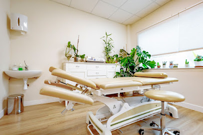 Fisioterapia Integrativa David Martin