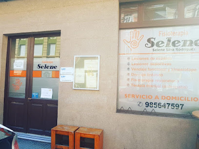Fisioterapia Selene
