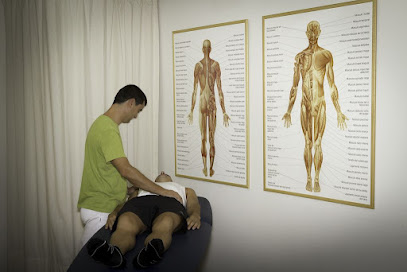 Fisioterapia Y Osteopatia Silan Pamplona