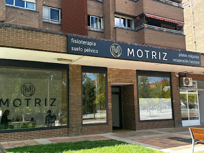 Motriz Fisioterapia
