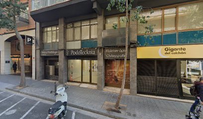 Podotecknia