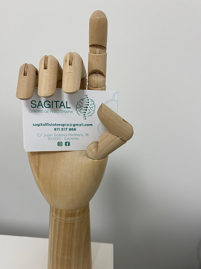 Sagital Fisioterapia