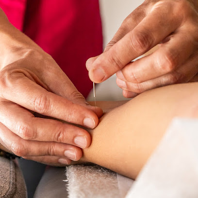 Aina Miquel Fisioterapia, Rpg Y Acupuntura