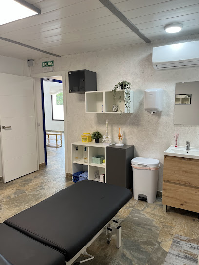 Al Fisio Clínica De Fisioterapia Y Readaptación
