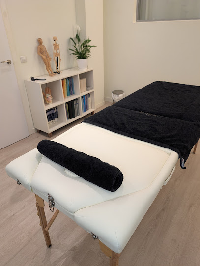 Alejandro Fernández – Fisioterapeuta