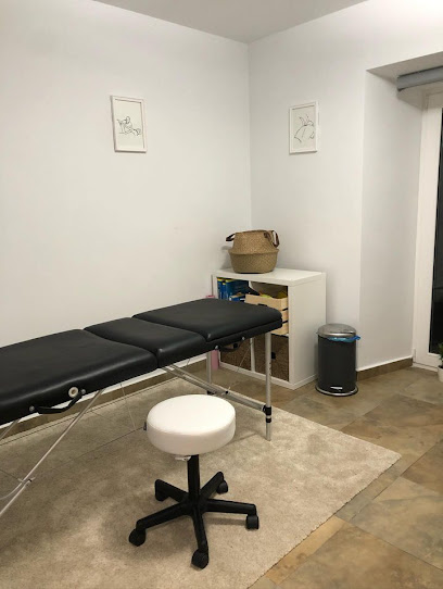 Ana Ginto Fisioterapia Y Rehabilitación