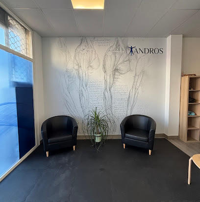 Andros Clínica De Fisioterapia, Nica 67050