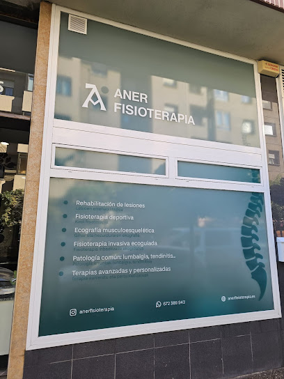 Aner Fisioterapia