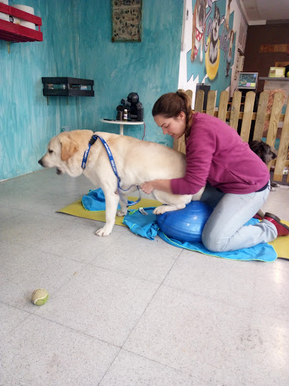 Anna Reixach Fisioinu. Fisioterapeuta Canina Sabadell