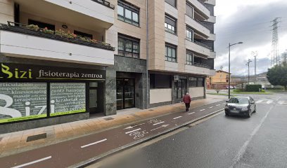 Bizi Fisioterapia Zentroa
