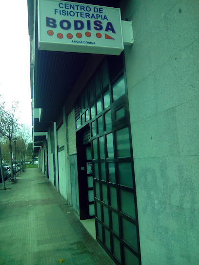 Bodisa Fisioterapia