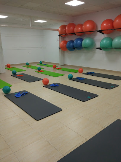 Carvajal Fisioterapia, Osteopatía Y Pilates Terapéutico