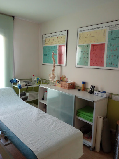 Centro De Fisioterapia Ducal