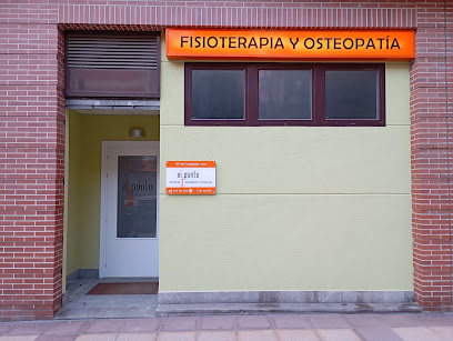 Centro De Fisioterapia Y Osteopatia Apunto