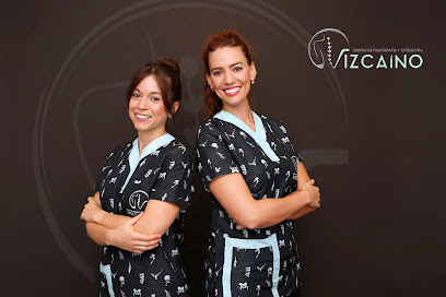 Centro De Fisioterapia Y Osteopatía Vizcaíno