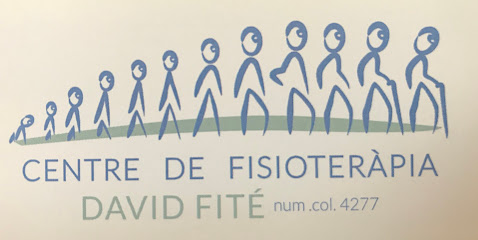 Centro De Fisoterapia David Fité