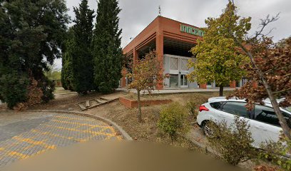 Centro De Investigación Fisioterapia Y Dolor