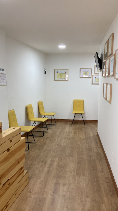 Centro Raíces Fisioterapia Y Osteopatía