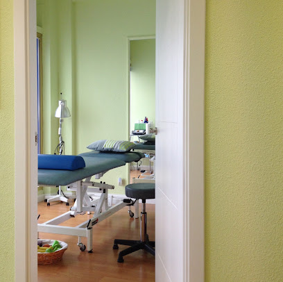 Clínica Celfis Fisioterapia