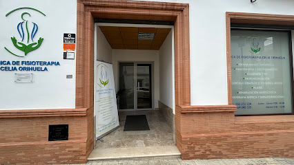 Clínica De Fisioterapia Celia Orihuela En Carmona