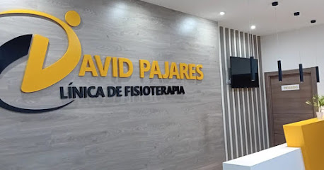 Clínica De Fisioterapia David Pajares