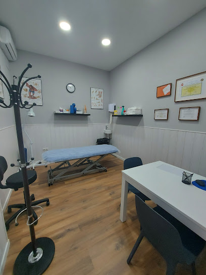 Clínica De Fisioterapia, Fisiorehabilitación Vallecas