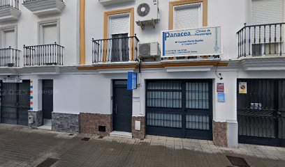 Clinica De Fisioterapia Panacea