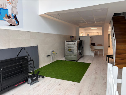 Clínica De Fisioterapia Veterinaria | Fisiovet Santander