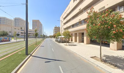 Clínica Fisioterapia Campus De La Salud