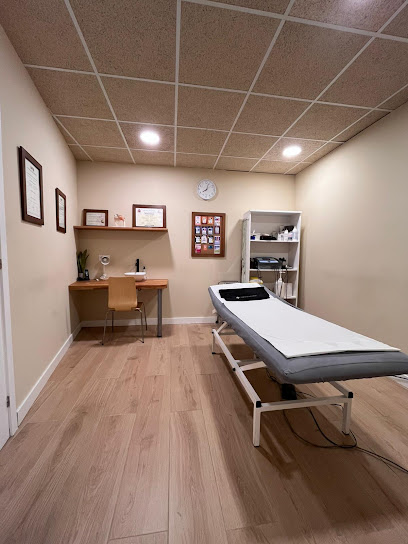 Costa Brava Medic – Centre De Fisioterapia, Osteopatia I Medicina General