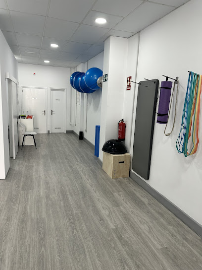 Dm Fisioterapia