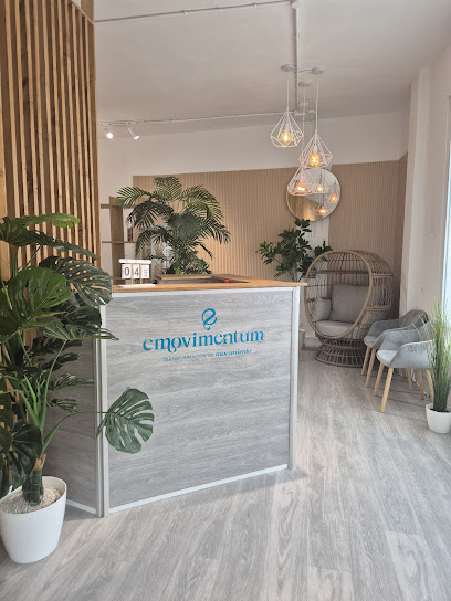 Emovimentum Fisioterapia Y Bienestar
