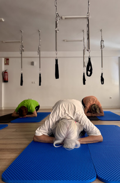Escuela Somática – Fisioterapia Y Movimiento
