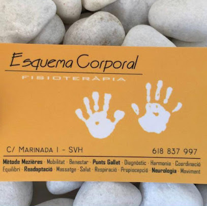 Esquema Corporal Fisioterapia
