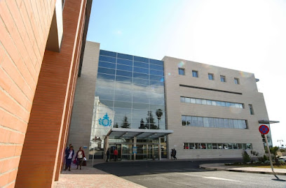 Eva Fernández Fisioterapeuta Suelo Pélvico Córdoba