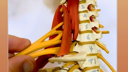 Fisio La Teja