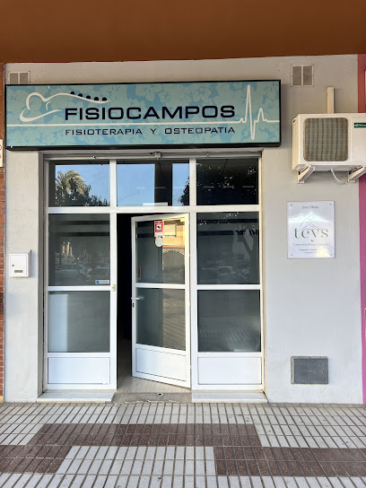 Fisiocampos – Fisioterapia Y Osteopatía