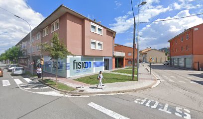 Fisioon