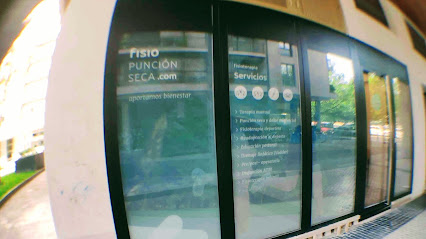 Fisiopuncionseca. Fisioterapia Íñigo Mateos Salagre