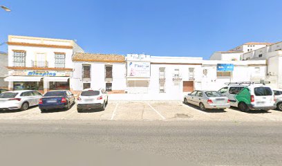 Fisiosur I+D